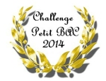 challenge petit bac 2014